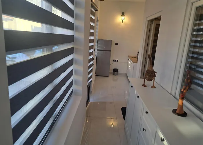 Stefanovic Apartamento *